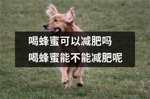 喝蜂蜜可以减肥吗 喝蜂蜜能不能减肥呢
