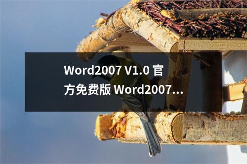 Word2007 V1.0 官方免费版 Word2007 V1.0 官方免费版功能简介