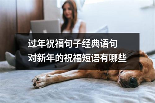 过年祝福句子经典语句 对新年的祝福短语有哪些