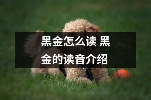 黑金怎么读 黑金的读音介绍