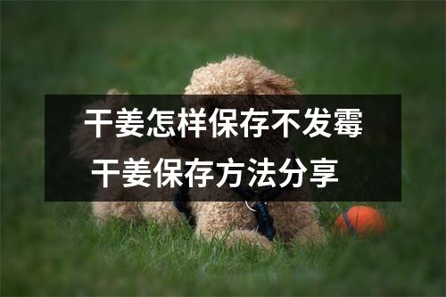 干姜怎样保存不发霉 干姜保存方法分享