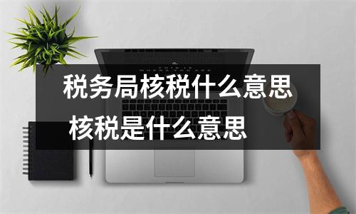 税务局核税什么意思 核税是什么意思