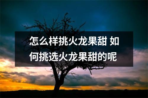 怎么样挑火龙果甜 如何挑选火龙果甜的呢