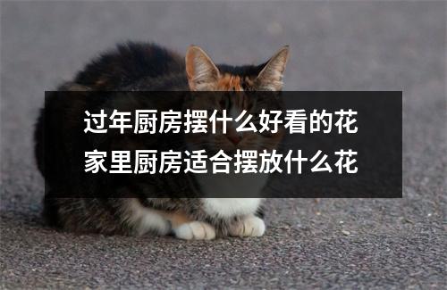 过年厨房摆什么好看的花 家里厨房适合摆放什么花