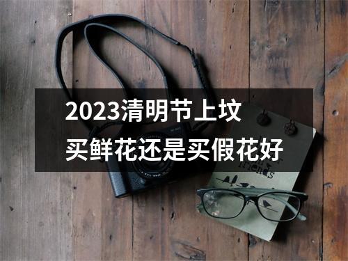 2023清明节上坟买鲜花还是买假花好