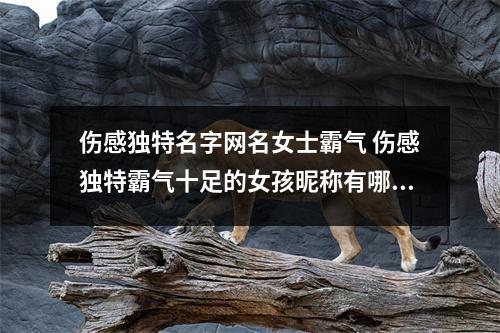 伤感独特名字网名女士霸气 伤感独特霸气十足的女孩昵称有哪些 伤感独特名字网名女士霸气 伤感独特霸气十足的女孩昵称有哪些