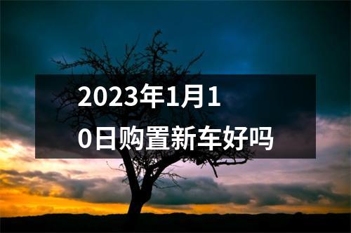 2023年1月10日购置新车好吗
