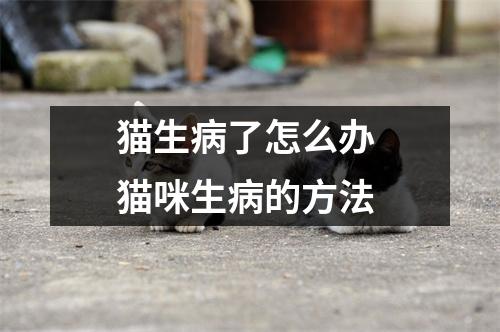 猫生病了怎么办 猫咪生病的方法 猫生病了怎么办 猫咪生病的方法
