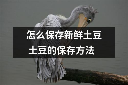 怎么保存新鲜土豆 土豆的保存方法