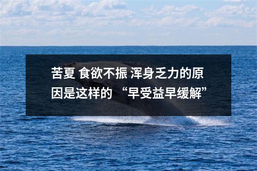苦夏 食欲不振 浑身乏力的原因是这样的 “早受益早缓解”