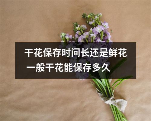 干花保存时间长还是鲜花 一般干花能保存多久 干花保存时间长还是鲜花 一般干花能保存多久