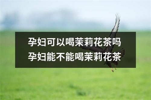 孕妇可以喝茉莉花茶吗 孕妇能不能喝茉莉花茶