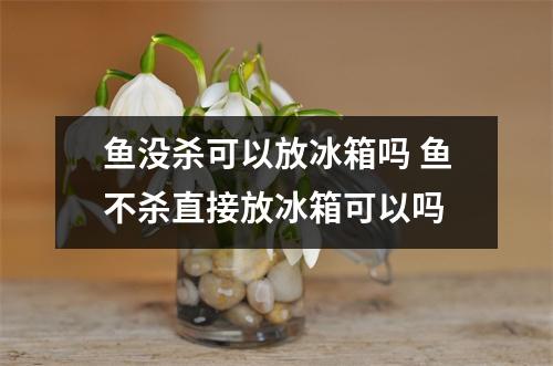 鱼没杀可以放冰箱吗 鱼不杀直接放冰箱可以吗