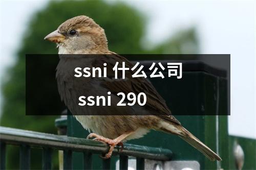 ssni 什么公司 ssni 290