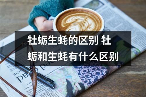 牡蛎生蚝的区别 牡蛎和生蚝有什么区别