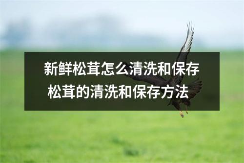 新鲜松茸怎么清洗和保存 松茸的清洗和保存方法