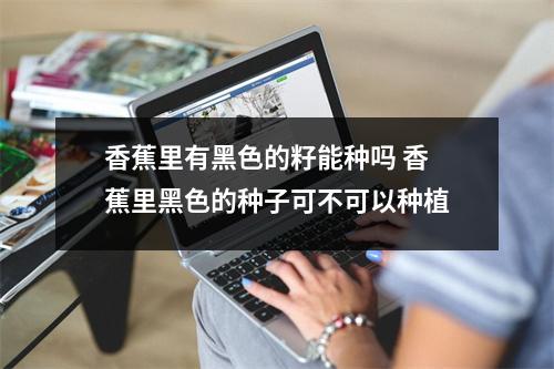 香蕉里有黑色的籽能种吗 香蕉里黑色的种子可不可以种植 香蕉里有黑色的籽能种吗 香蕉里黑色的种子可不可以种植