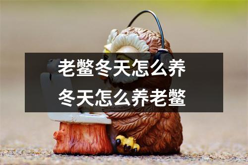 老鳖冬天怎么养 冬天怎么养老鳖 老鳖冬天怎么养 冬天怎么养老鳖