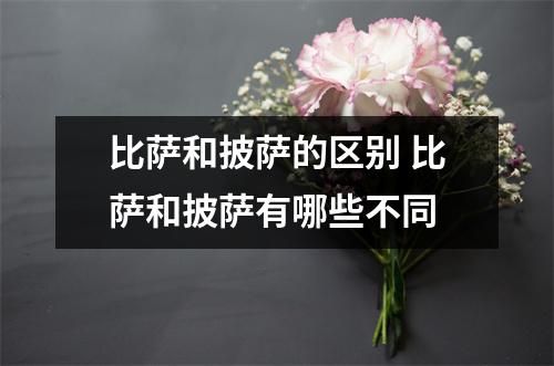 比萨和披萨的区别 比萨和披萨有哪些不同