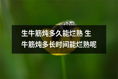 生牛筋炖多久能烂熟 生牛筋炖多长时间能烂熟呢