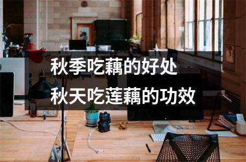 秋季吃藕的好处 秋天吃莲藕的功效 秋季吃藕的好处 秋天吃莲藕的功效