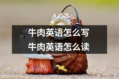 牛肉英语怎么写 牛肉英语怎么读
