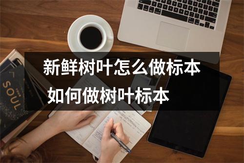 新鲜树叶怎么做标本 如何做树叶标本