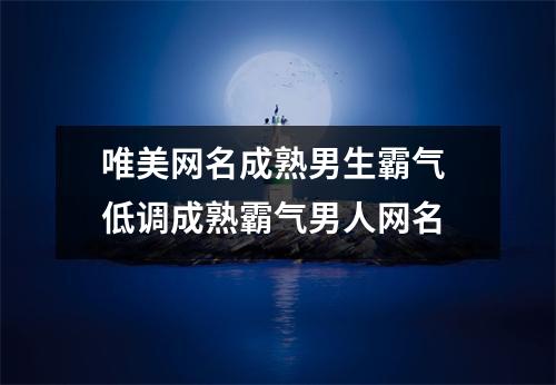 唯美网名成熟男生霸气 低调成熟霸气男人网名