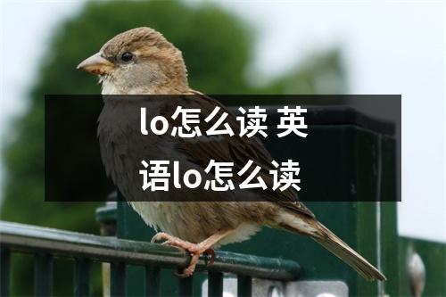 lo怎么读 英语lo怎么读