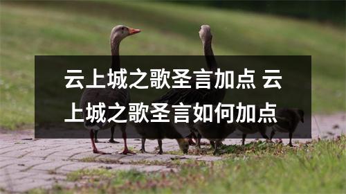 云上城之歌圣言加点 云上城之歌圣言如何加点