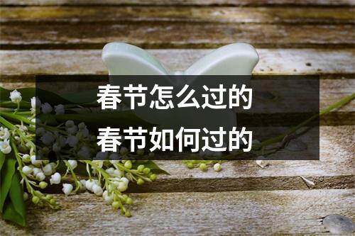 春节怎么过的 春节如何过的