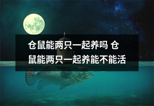 仓鼠能两只一起养吗 仓鼠能两只一起养能不能活