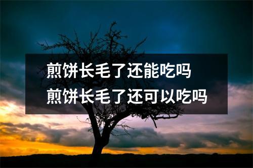煎饼长毛了还能吃吗 煎饼长毛了还可以吃吗
