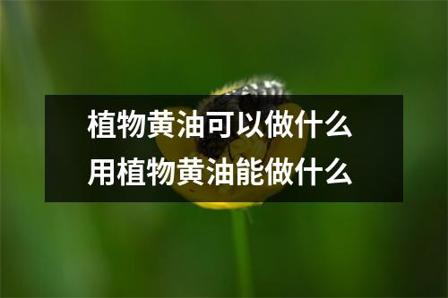 植物黄油可以做什么 用植物黄油能做什么
