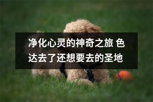 净化心灵的神奇之旅 色达去了还想要去的圣地