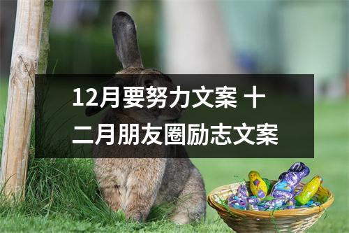 12月要努力文案 十二月朋友圈励志文案