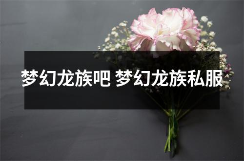 梦幻龙族吧 梦幻龙族私服