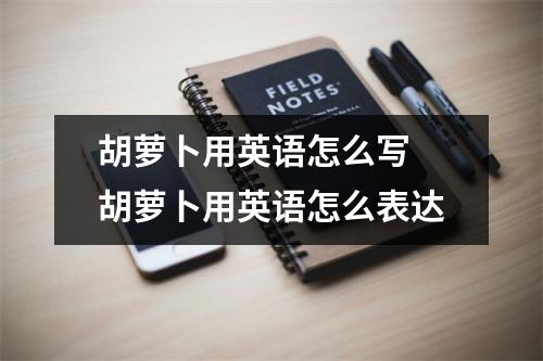 胡萝卜用英语怎么写 胡萝卜用英语怎么表达