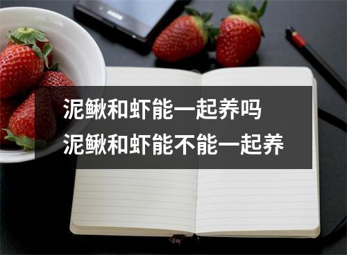 泥鳅和虾能一起养吗 泥鳅和虾能不能一起养