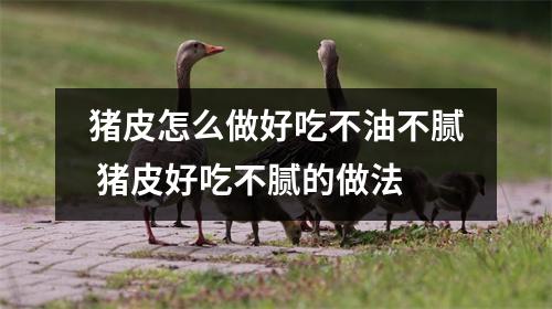 猪皮怎么做好吃不油不腻 猪皮好吃不腻的做法