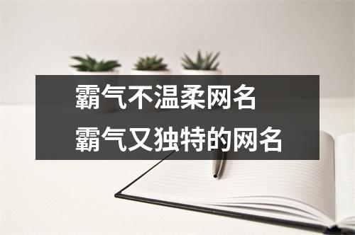 霸气不温柔网名 霸气又独特的网名