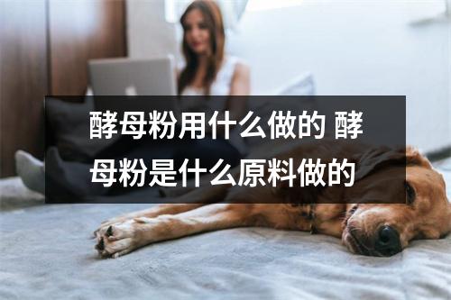 酵母粉用什么做的 酵母粉是什么原料做的