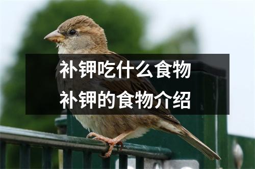 补钾吃什么食物 补钾的食物介绍