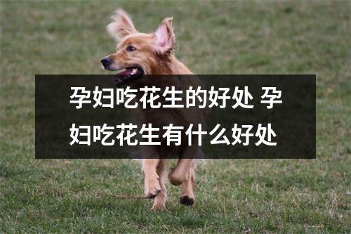 孕妇吃花生的好处 孕妇吃花生有什么好处