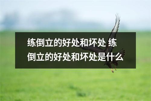 练倒立的好处和坏处 练倒立的好处和坏处是什么