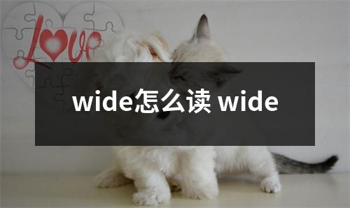 wide怎么读 wide