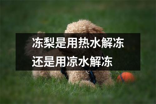 冻梨是用热水解冻还是用凉水解冻