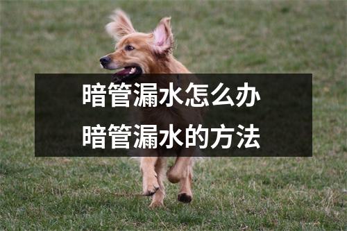 暗管漏水怎么办 暗管漏水的方法