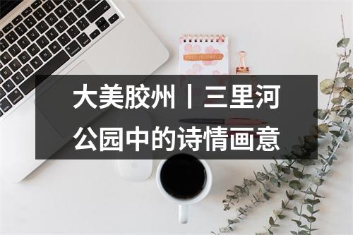 大美胶州丨三里河公园中的诗情画意