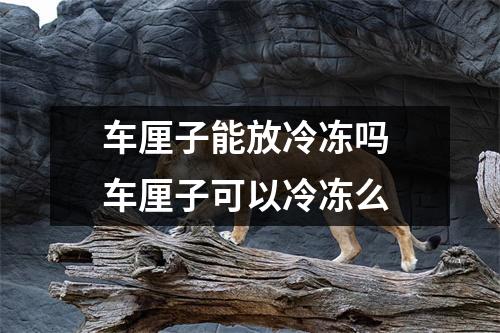 车厘子能放冷冻吗 车厘子可以冷冻么